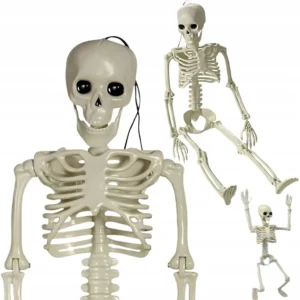 SZKIELET CZŁOWIEKA WISZĄCY 40CM DEKORACJA HALLOWEEN KOŚCIOTRUP SZTUCZNY