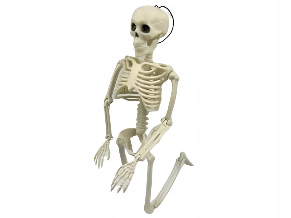 17824030927